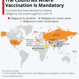 Em que países é que a vacinação é obrigatória?
