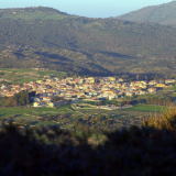 Romana aderiu à iniciativa de Casas por um euro