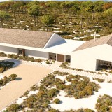 Comporta é um dos destinos preferidos pelos investidores imobiliários