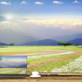 Escritório no jardim: 5 ideias para criar um espaço de trabalho no exterior