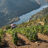 Casas no Douro
