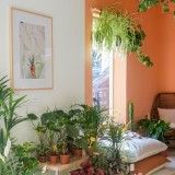 Criar um santuário de plantas em casa