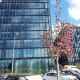 POP com 100% dos escritórios arrendados e Concentrix ocupa torre B