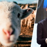 Ronaldo muda de casa em Manchester