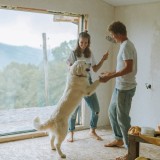 Animais de estimação em Espanha