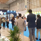 SIL e Tektónica “superaram as expetativas”