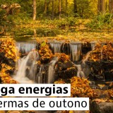 Destinos termais de outono
