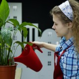 Vender ou arrendar casas na UE