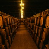 Affinez votre palais avec cette route des vins de Porto