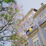 Vistos gold e taxa de natalidade