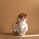 Como economizar mais dinheiro