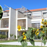 O que são casas passivas