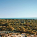 "Terras da Comporta" será a maior comunidade energética da Europa
