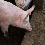 Cobrança de IMI em Portugal