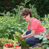 horta autossuficiente