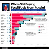 Que países compram combustíveis fósseis à Rússia