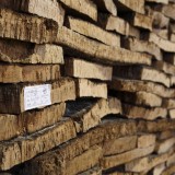 Corticeira Amorim engorda lucros em 20% no primeiro semestre