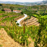 Alojamento Local no Douro