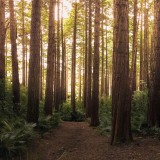 terrenos em reservas naturais