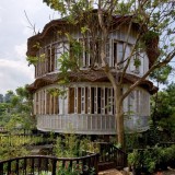 casas feitas de bambu