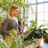 Jardim de inverno: dicas para qualquer divisão