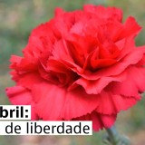 Dia da liberdade