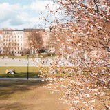 habitação acessível