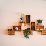 Decoração de Parede com Plantas
