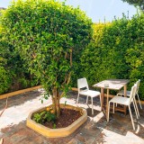 Casas com espaço para ter um jardim