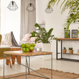 Sala decorada com plantas de interior