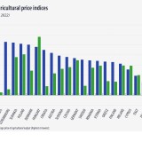 Preços de alimentos agrícolas sobem 33% em Portugal