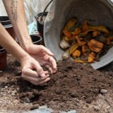 Compostagem: como fazer?