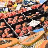 IVA zero nos alimentos