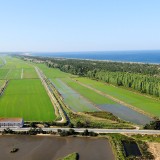 Comporta atrai projetos imobiliários