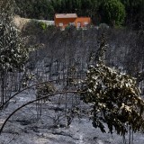 seguros contra incêndios