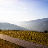 Registo de terrenos em Portugal