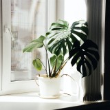 Vale Eficiência reforçado