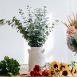 Plantas liofilizadas: a nova tendência na decoração de interiores