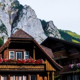 plantas resistentes ao frio