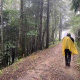 Caminho Português Santiago