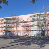 alameda das palmeiras