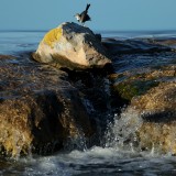 Seca no Algarve e construção de dessalinizadora