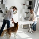 Prestação da casa a descer