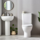 Truques para desentupir sanita