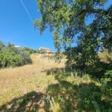 Terrenos rústicos não urbanizáveis à venda