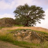 Avaliação de terrenos