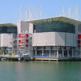 o que ver no oceanário de lisboa