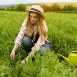 morar no interior do país