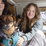 Viajar de férias com cães e gatos