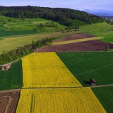 Terrenos para construir casas